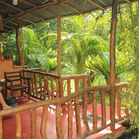 Sigiriya Nature View Home Stay エクステリア 写真