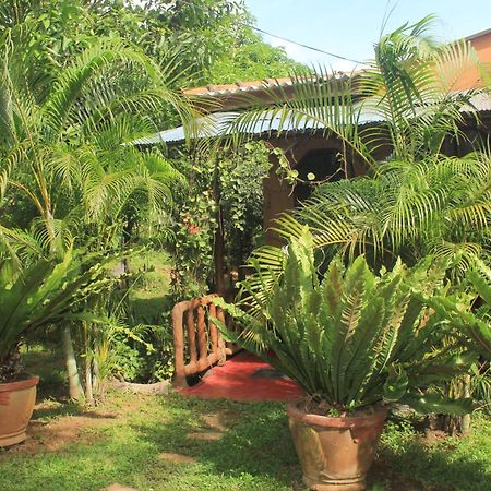 Sigiriya Nature View Home Stay エクステリア 写真