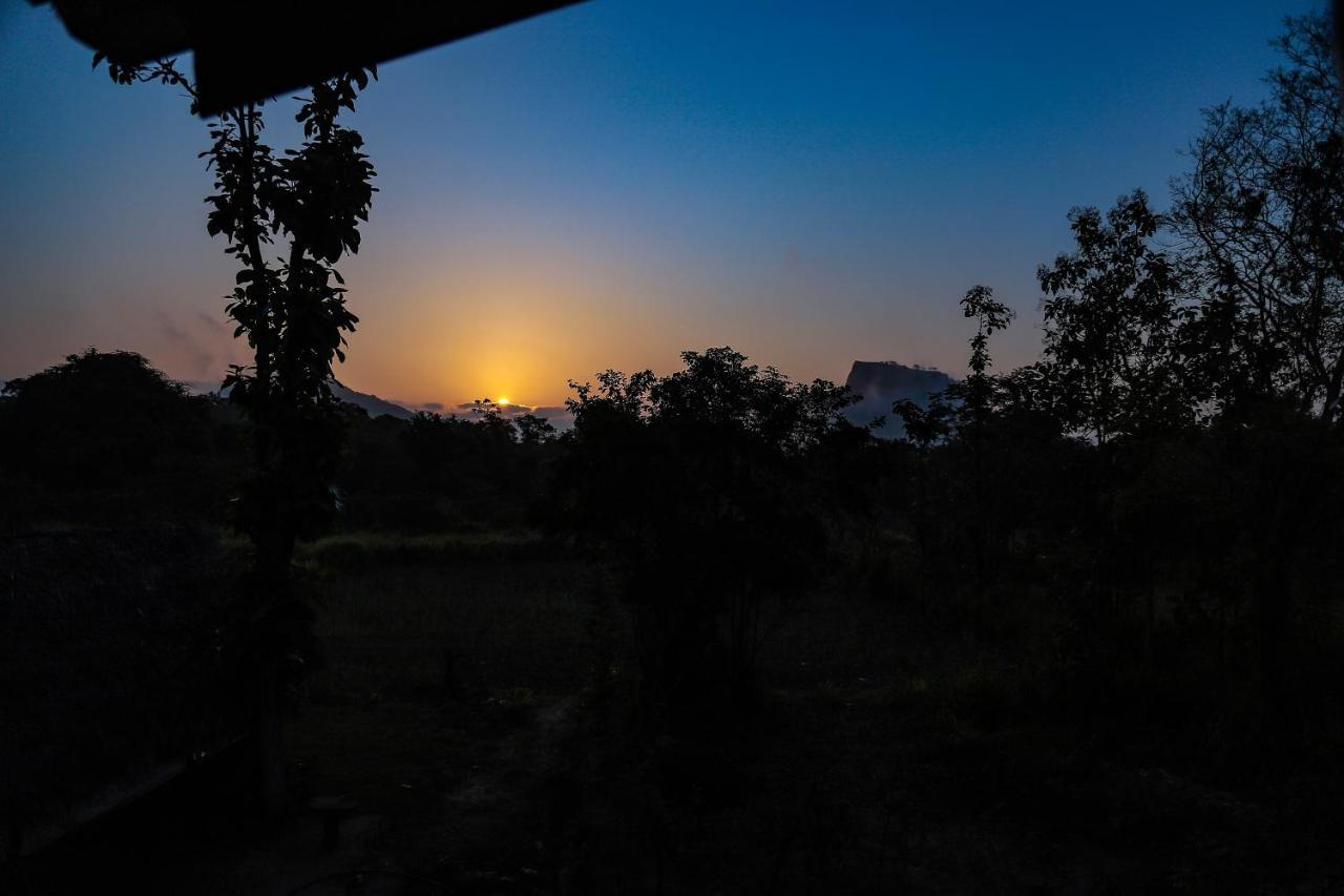 Sigiriya Nature View Home Stay エクステリア 写真