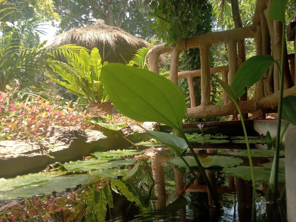 Sigiriya Nature View Home Stay エクステリア 写真