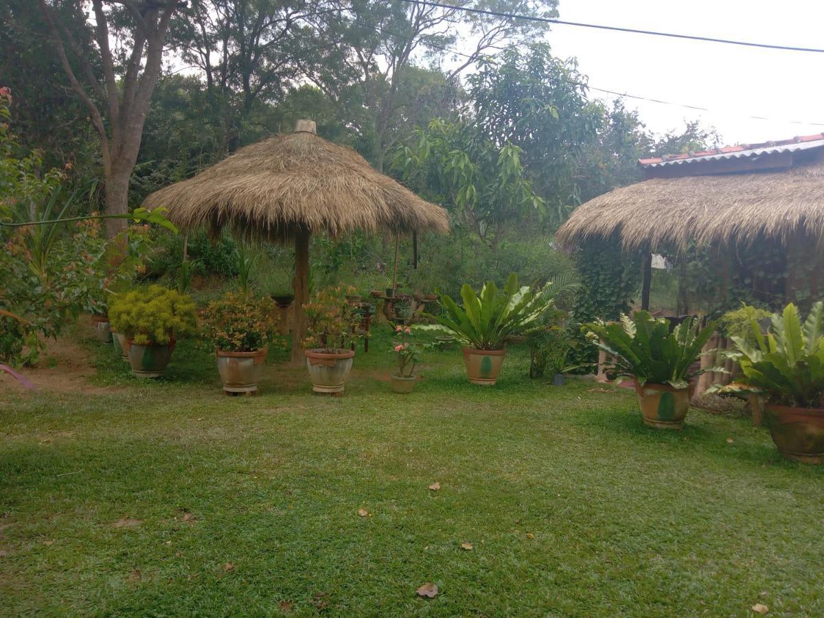 Sigiriya Nature View Home Stay エクステリア 写真