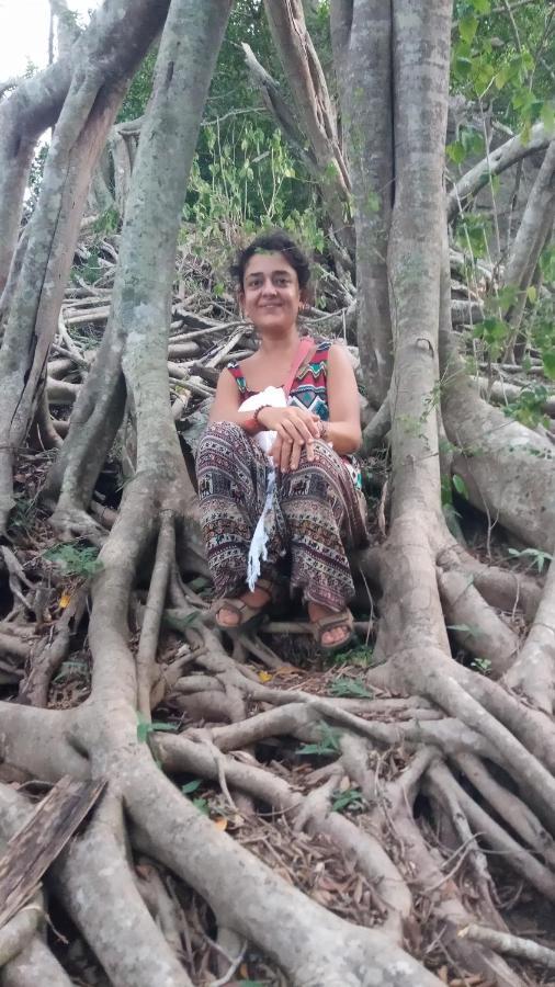 Sigiriya Nature View Home Stay エクステリア 写真