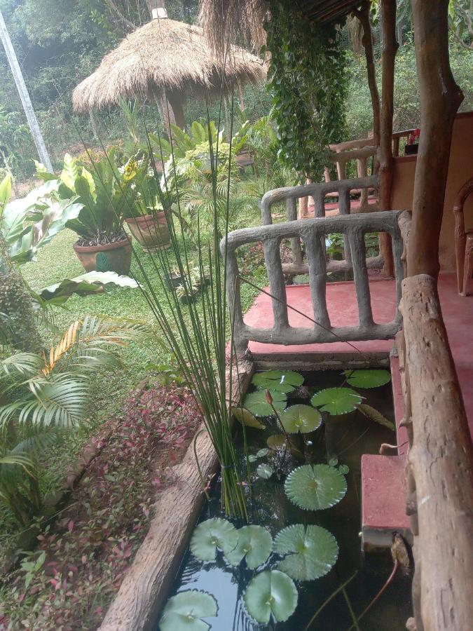 Sigiriya Nature View Home Stay エクステリア 写真