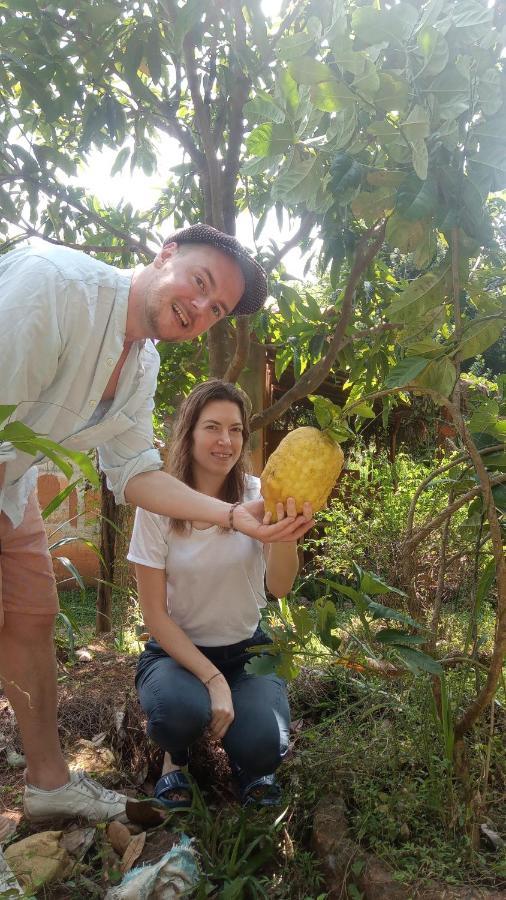 Sigiriya Nature View Home Stay エクステリア 写真