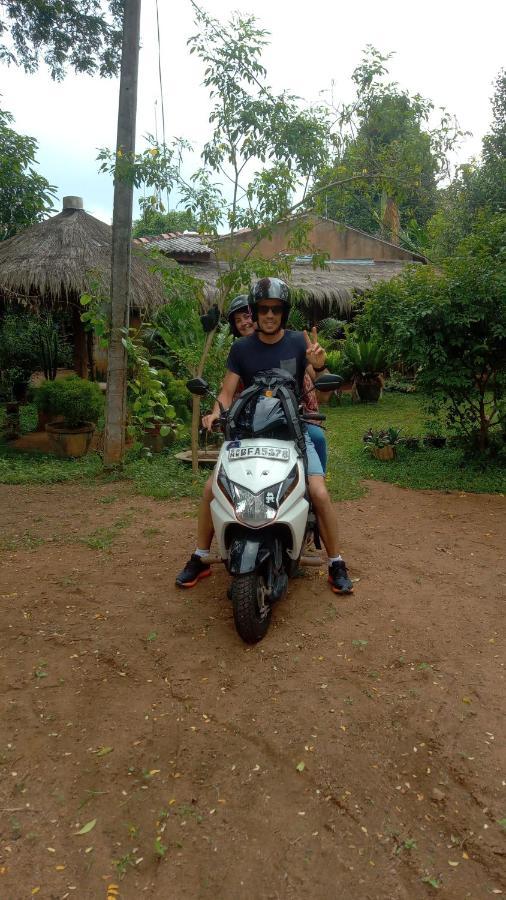 Sigiriya Nature View Home Stay エクステリア 写真