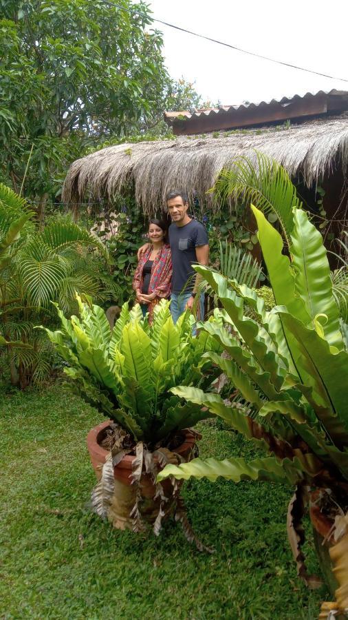 Sigiriya Nature View Home Stay エクステリア 写真