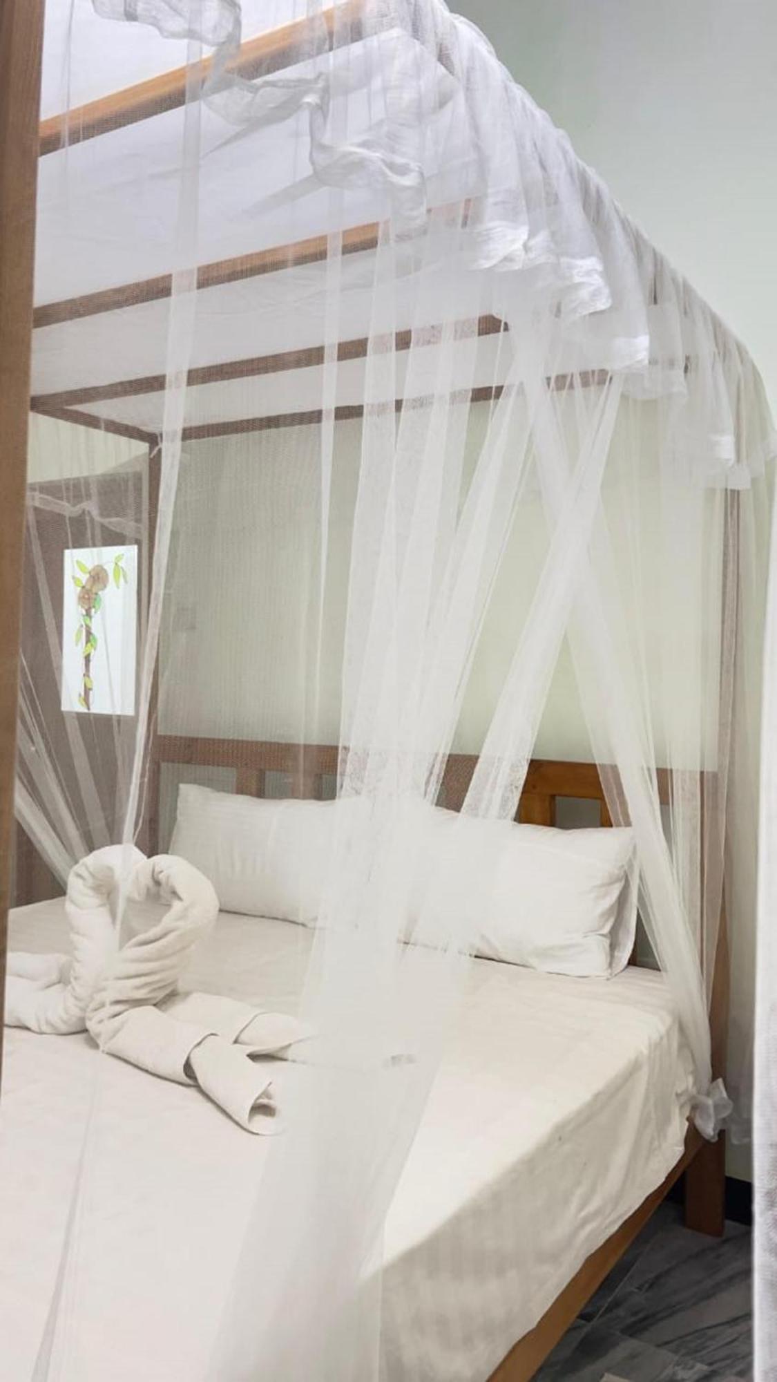 Sigiriya Nature View Home Stay エクステリア 写真