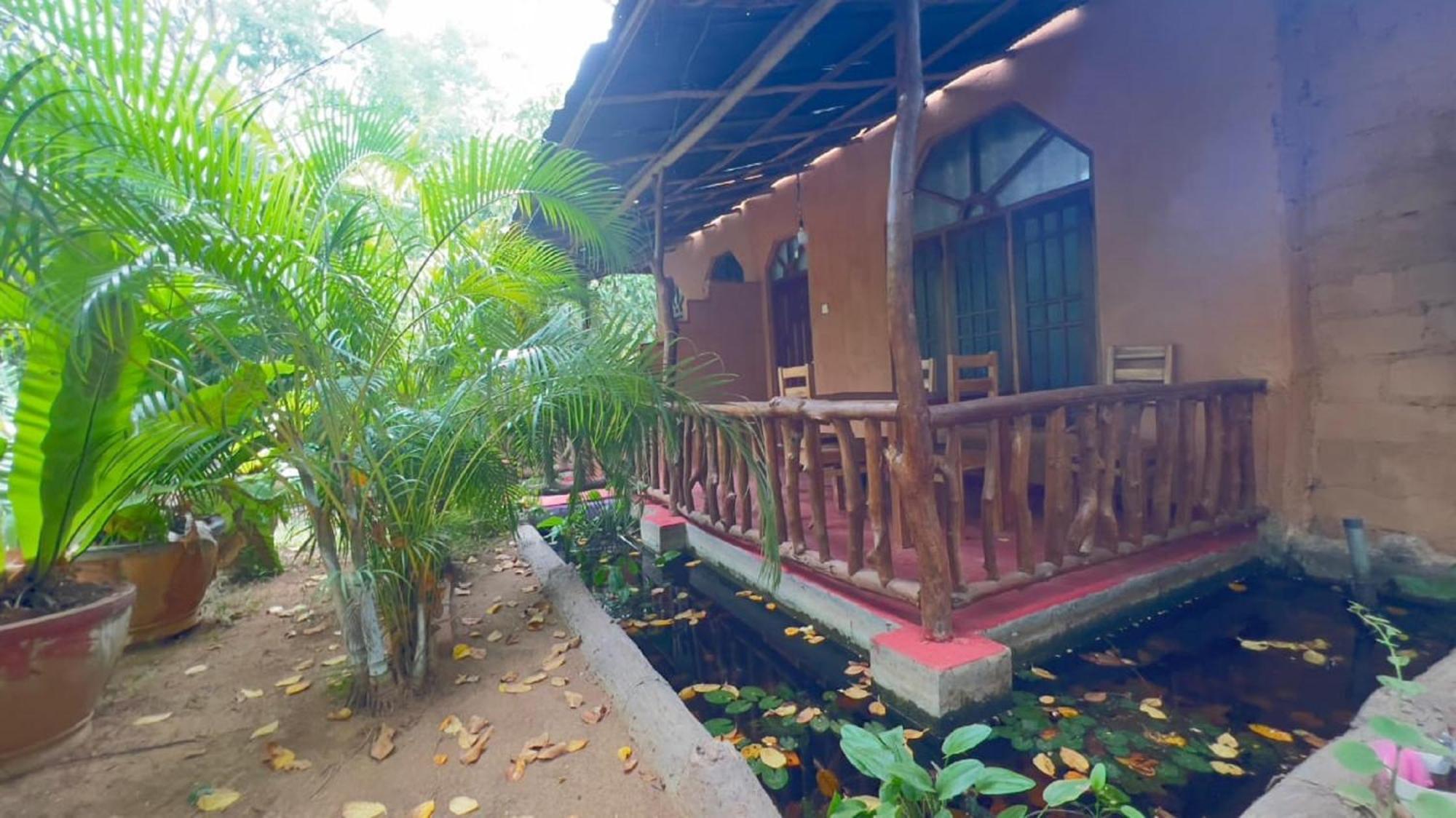 Sigiriya Nature View Home Stay エクステリア 写真