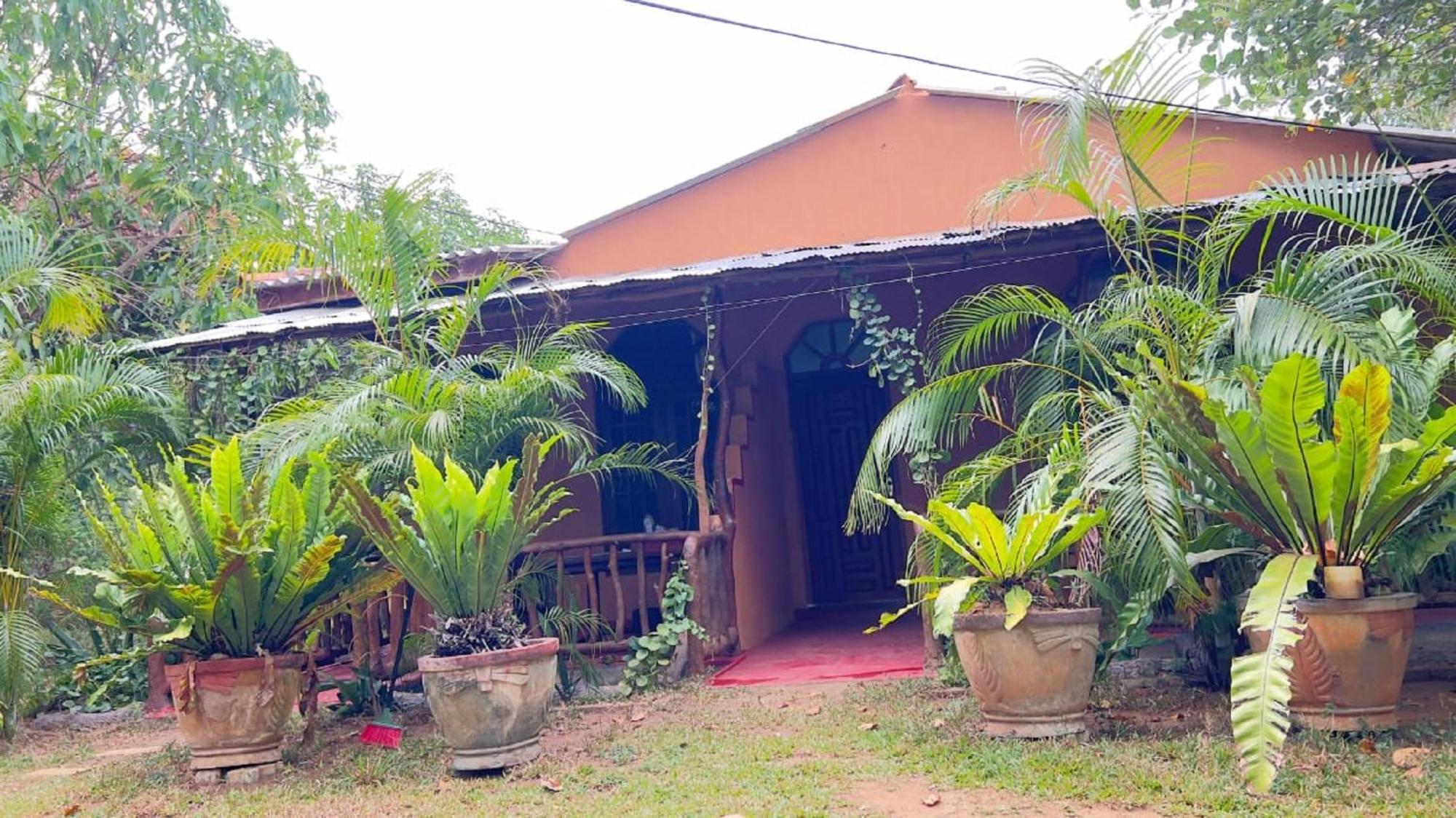 Sigiriya Nature View Home Stay エクステリア 写真