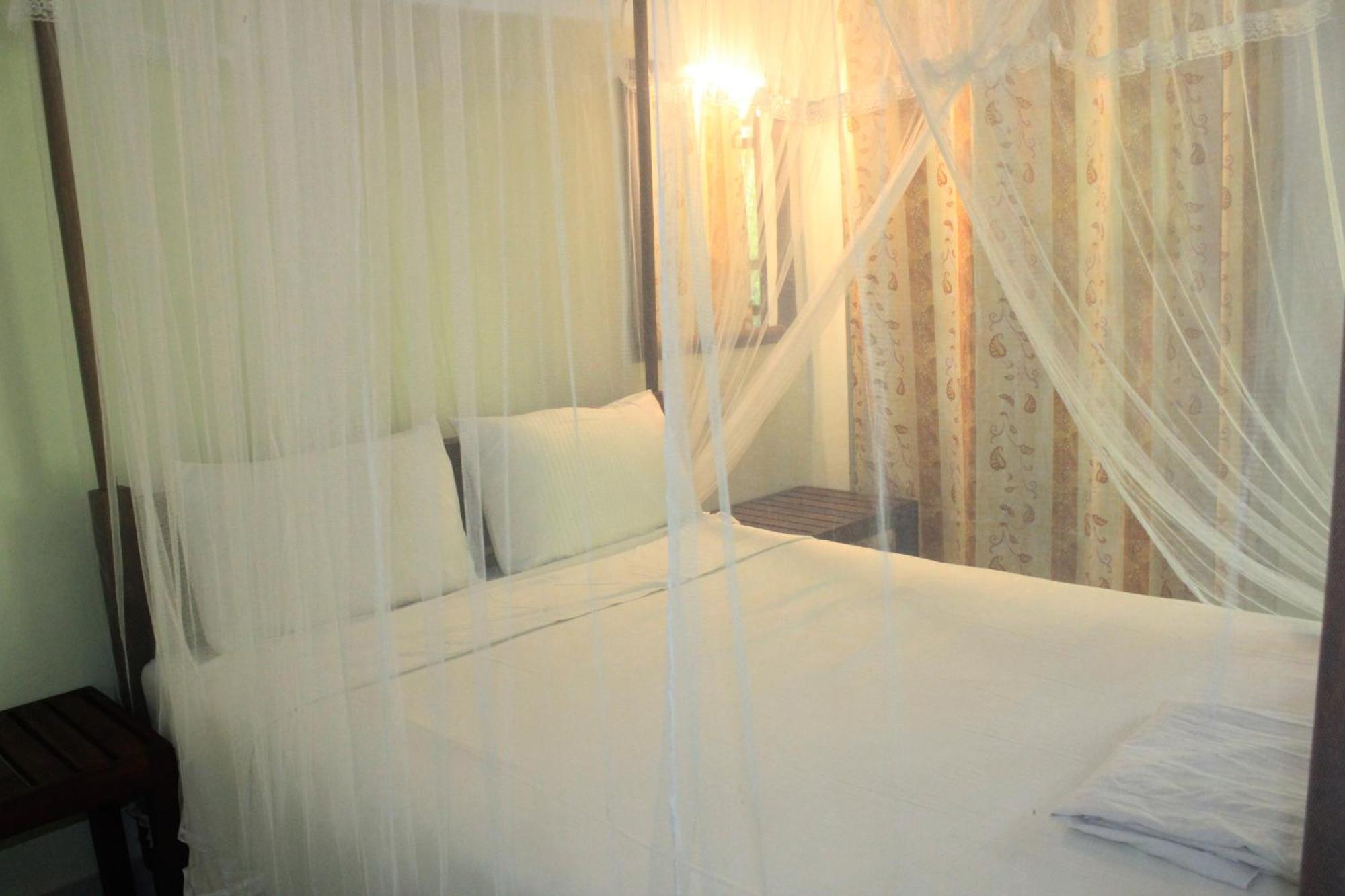 Sigiriya Nature View Home Stay エクステリア 写真