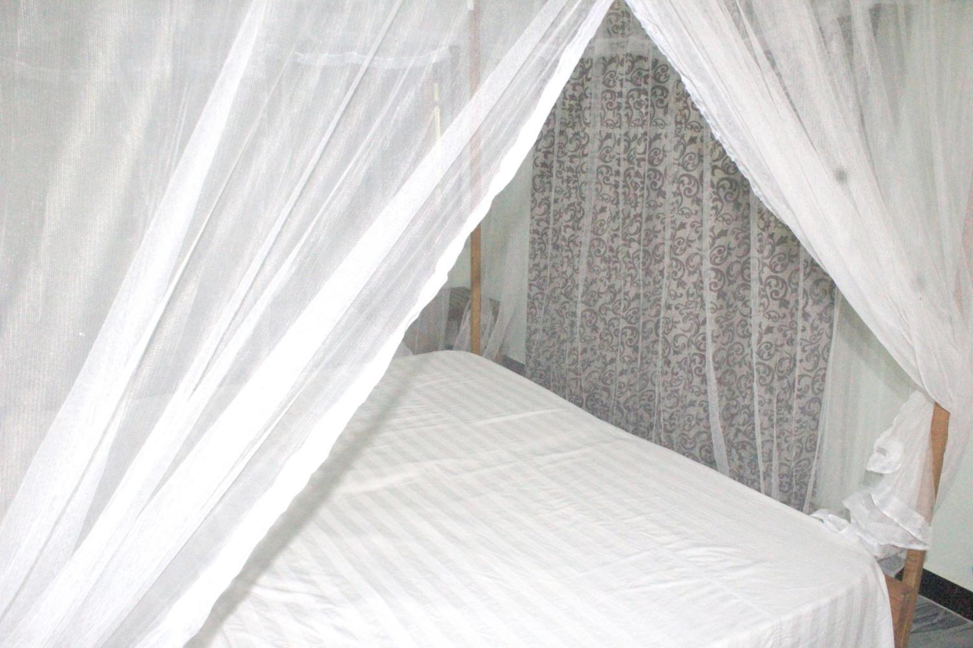 Sigiriya Nature View Home Stay エクステリア 写真