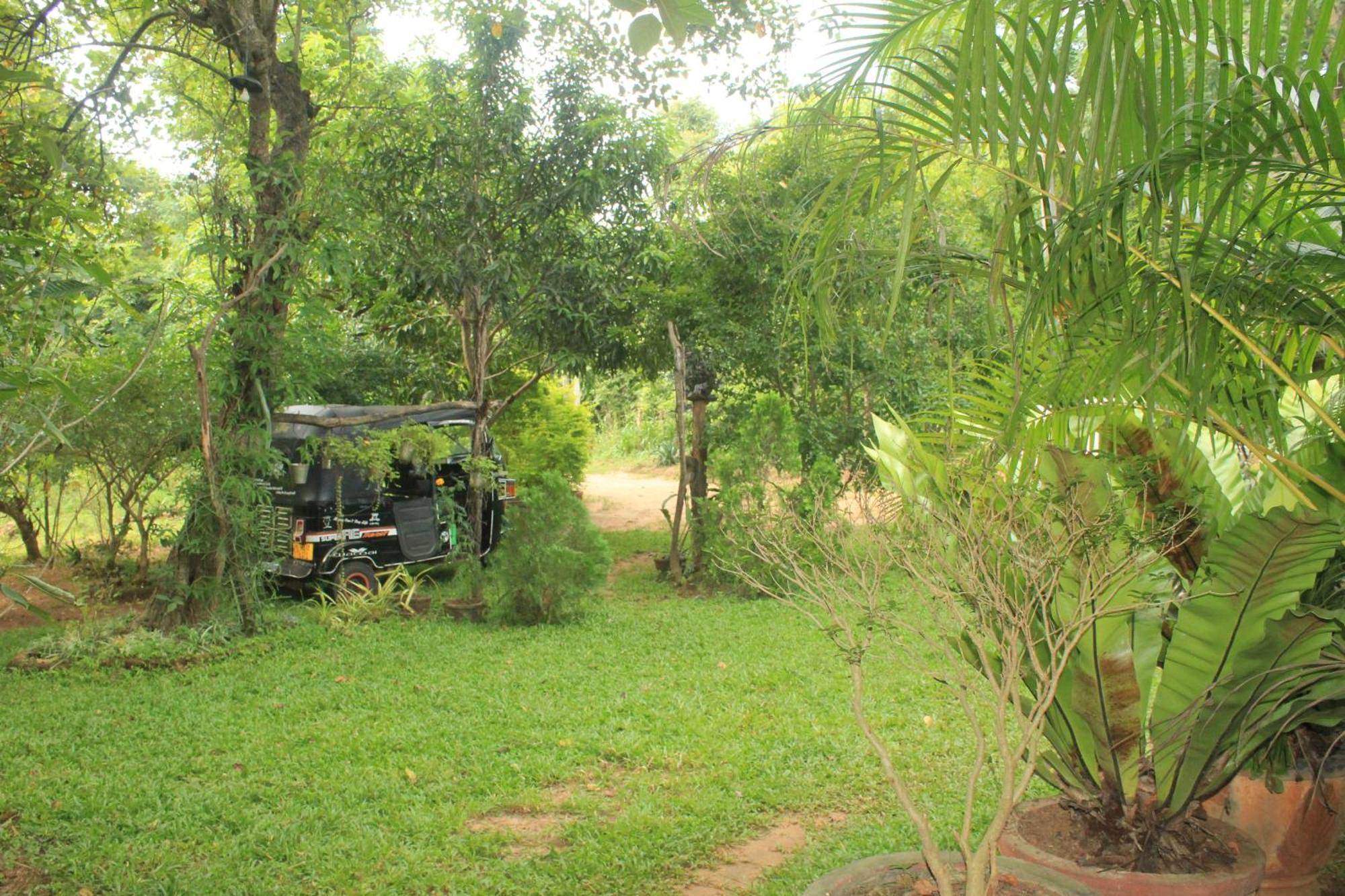 Sigiriya Nature View Home Stay エクステリア 写真