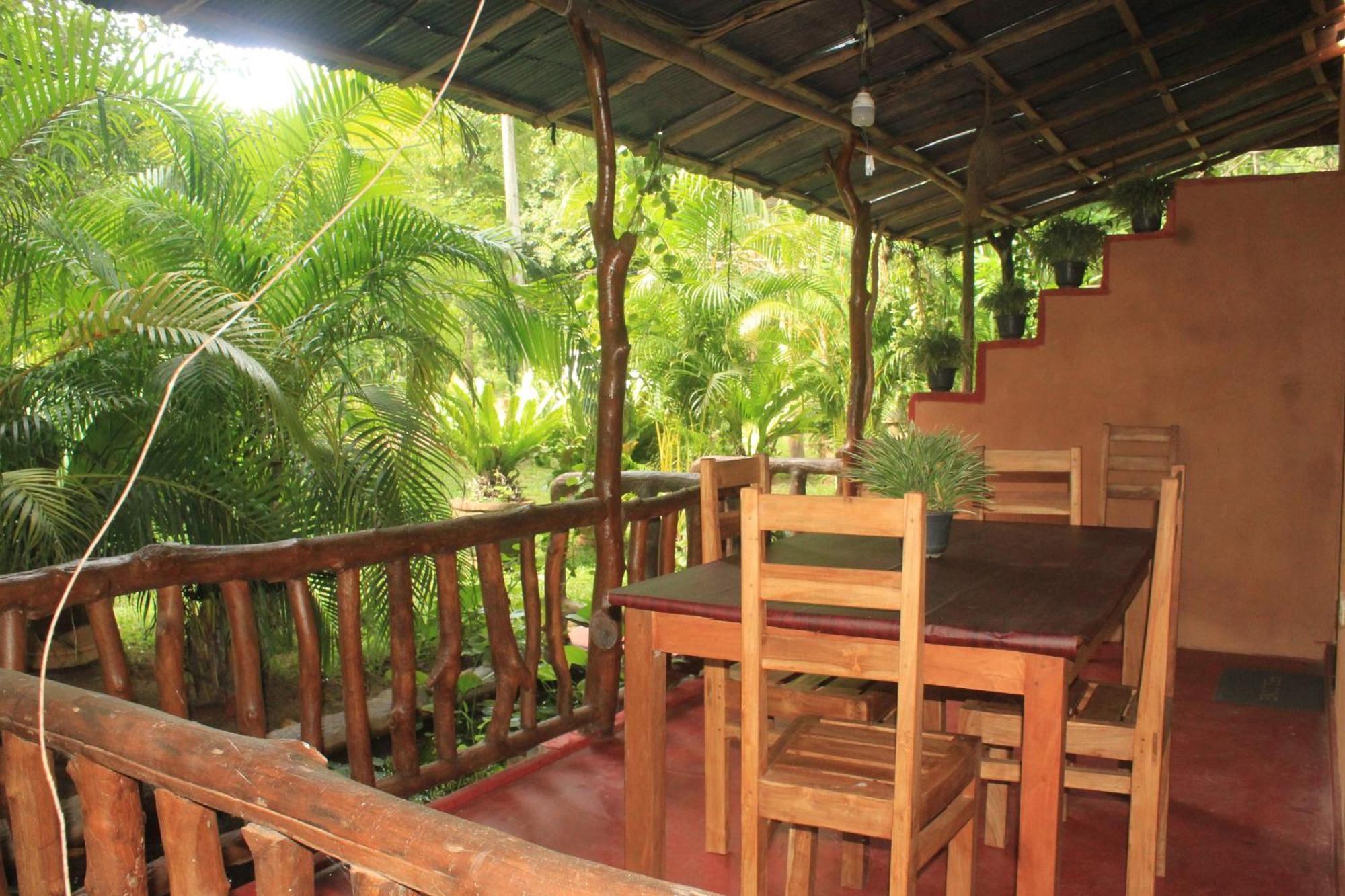 Sigiriya Nature View Home Stay エクステリア 写真